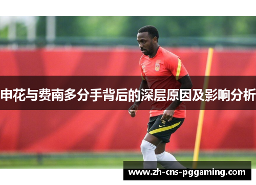 申花与费南多分手背后的深层原因及影响分析