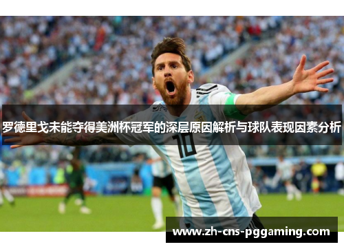 罗德里戈未能夺得美洲杯冠军的深层原因解析与球队表现因素分析